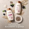 Aveeno Blackberry Quinoa Protein Blend Sulfate-Free Shampoo for Color-Treated Hair Protection, Daily Strengthening & Moisturizing Shampoo, Paraben & Dye-Free, 12 Fl Oz (Packaging may vary)