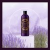 Aromatherapy Sensual Massage Oil for Couples - Relaxing Full Body Massage Oil for Date Night with Sweet Almond Oil - Vegan Lavender Massage Oil for Massage Therapy Smooth Gliding Formula (8 Fl Oz)