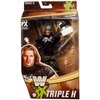 WWE Triple H Legends Action Figure