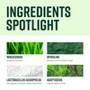 Vibrant Health, Green Vibrance, Vegan Superfood Powder, Boost Energy, 60 Servings