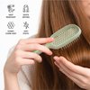 TADA Natural Beauty Hair Brush Detangler for Curly, Thick, Wavy, and Thin Hair - Ventilation Holes for Quick Drying and Styling, Detangler Brush for Women, Men, Kids (4 Colors) (Green)