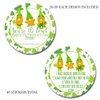You're The Bomb Gnome Themed St. Patrick's Day Hot Cocoa Bomb Packaging Sticker Labels, Total of 40 2" Circle Stickers (20 Sets of 2) by AmandaCreation