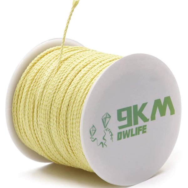 9KM DWLIFE Braided Kevlar Cord, 200lb 1.1mm 100Ft, High Tensile Strength, Abrasion, Flame Retardant, Kite String, Fishing Line, Model Rocket Shock, Hammock Tarp Ridgeline, Tactical Survival Paracord