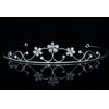 Princess Bridesmaid Flower Girl Rhinestone Crystal Tiara (Blue Crystals Silver Plated) T460
