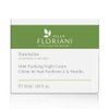 Villa Floriani Mint Purifying Night Cream
