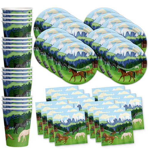 Wild Horses Birthday Party Supplies Set Plates Napkins Cups Tableware Kit for 16