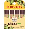 Burt's Bees Shea + Aloe Lip Balm Stocking Stuffers Christmas Gifts, Antioxidant Vitamin Rich Formula Locks in Moisture for Instant Hydration, Natural Smoothing Lip Treatment for After Sun Care(4-Pack)