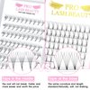 Premade Fans Eyelash Extensions 4D-C-0.10-9-16mix Premade Volume Lash Extensions Pointed Base Fans 0.07 Premade Volume Fans C D Curl(4D-C-0.10,9-16mix)