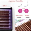 Lash Extension Supplies, 2 Trays 12 Rows Volume Eyelash Extensions, Soft Faux Mink Individual Lashes, Japanese Camellia Natural Series, 0.05-C, 10mm & 11mm, Caramel