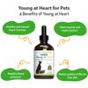 Pet Wellbeing Young at Heart for Dogs & Cats - Vet-Formulated - Supports Cardiovascular (Heart & Circulatory) Health - Natural Herbal Supplement 4 oz (118 ml)