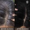 Buddha Natural Black Hair Color Powder - 100% Ayush Certified Natural - Instant, No Chemicals. Only Plant Powders (50.00 G (Pack Of 1) Black)