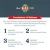 KAL DHEA 5 mg | 99.5% Pure & Micronized | Healthy Balance & Aging Support Formula for Men & Women | Lab Verified & Vegetarian | 60 Tablets