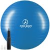 ProBody Pilates Yoga Exercise Ball, Multiple Sizes Stability Chair, Gym Grade Birthing Ball for Pregnancy, Fitness, Balance, Workout at Home, Office and Physical Therapy (Blue, 45 cm)