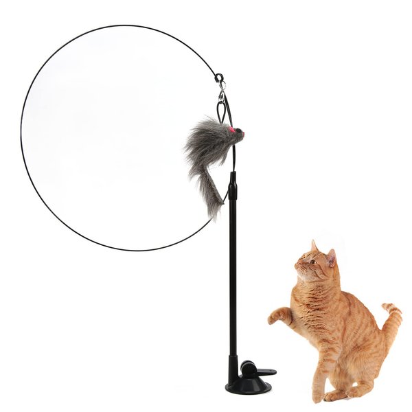 GOTOTOP Cat Toy, Interactive Cat Toy Angel with Spring and Detachable Suction Cup Bell Wand Toy for Cat for Play, Exercise, Activity and Fun(Squirrel)