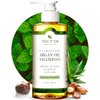 Tree to Tub Peppermint Shampoo for Oily Hair & Sensitive Scalp - Gentle Clarifying Shampoo for Build Up, Sulfate Free Anti Residue Hair Shampoo for Women & Men w/Organic Argan Oil, Natural Aloe Vera