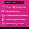 Project AD Aminotaur - Amino Acids with BCAAs, Pre Workout, Amino Energy, BCAA, Amino Acids, Keto Friendly, Coffee Extract, Energy Powder (Key Lime Colada)