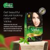 Dabur Henna Hair Color - Zero Ammonia Henna for 100% Grey Coverage, Strong and Shiny Hair, 6 Sachets X 10g (Rich Black)