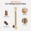 YWAOOH Catnip Toys with Silvervine for Cats, Cat Chew Toy for Kitten Teething, Interactive Cat Toy for Indoor Cats, Silvervine Sticks Cat Toys