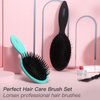 Detangling Brush for Curly Hair, Lorsex 2PC Hair Brushes for Women, Detangler Brush for Wet Dry Hair Detangle Massage, Hairbrsh for Curly Thin Thick hair