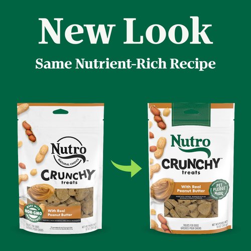 Nutro Crunchy Dog Treats With Real Peanut Butter, 10 oz. Bag