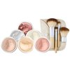 EVERYDAY KIT (LIGHT) Full Size Mineral Makeup Set Matte Foundation Bare Face Sheer Powder Cover