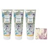 Bath & Body Works Vanilla Whipped Chiffon 3 Pack Body Cream Bundle with a Lavender Dream Bar Soap