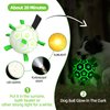 QDAN Glow in The Dark Dog Toys Soccer Ball with Straps, Outdoor Interactive Dog Toys Puppy Birthday Gifts, Dog Tug Water Toy, Light Up Dog Balls for Small & Medium Dogs（8 Inch）