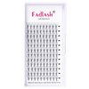 Premade Fans Eyelash Extensions 6D 0.07 D Durly Premade Lash Extensions Fans BlaDk Pointed Base Middle Stem Volume Lashes Natural Lash Fans Premade (6D-0.07D, 9-17mm)