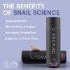 L'ESCARGOT Snail Mucin Face Toner – 95% Snail Secretion Filtrate with Vitamin C, Hyaluronic Acid & Niacinamide - Fast-Absorbing, Skin Correcting Dew