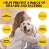 Yeast Infection Treatment for Dogs, Natural Yeast Infection Treatment Drops for Dog Itch Relief, Dog Allergy Relief, Dog Yeast Ear Infection Treatment, 2.02fl.oz