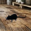 Halloluck 6 Piece Halloween Fake Rat Simulation PVC Mouse Novelty Prop Halloween Decorations