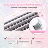 Q&D LASH Cluster Lashes Kit, Self Adhesive Eyelashes D curl 8-14mm Mixed Length No Glue Easy to Apply,including 48 Clusters,1 Applicator DIY Individual Lashes At Home (0.07-D-8-14mm, A1)