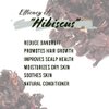 Well's Dried Hibiscus Flower Herb (1.2 oz) for Hair & Skin Care, Provides Deep Moisturization and Nourishment with 100% Natural Ingredients, Ideal for DIY Hair Oil, Styling Agent