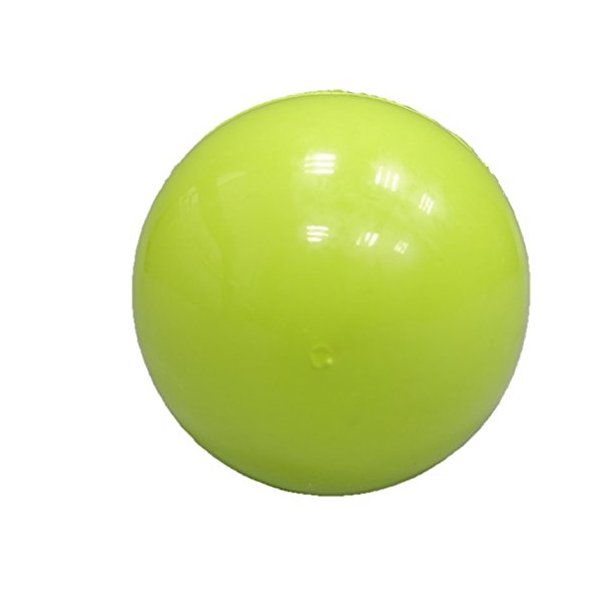 Rubber Bouncy Ball Dog Toy (L) (Light Green)