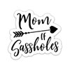 3 Pcs/Pack - Mom of Sassholes Sticker, Mom of Teenagers, Funny Mom Sticker, My Kids are Sassholes Sticker 3"x4" for Laptop Water Bottle Car Bumper Phone Window A1-29062124