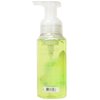 Bath & Body Works, Gentle Foaming Hand Soap, Cucumber Melon (2-Pack)