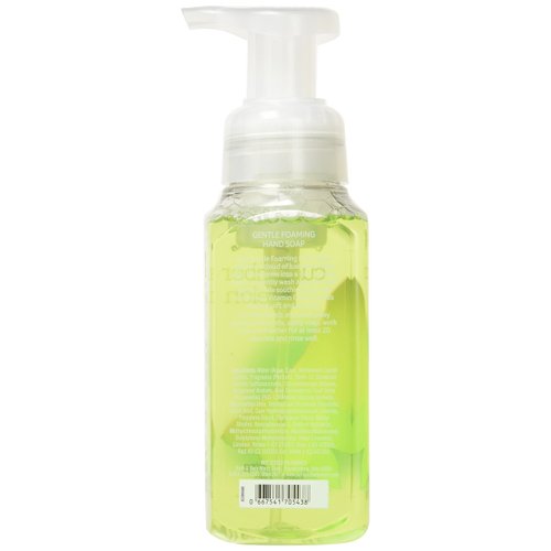 Bath & Body Works, Gentle Foaming Hand Soap, Cucumber Melon (2-Pack)