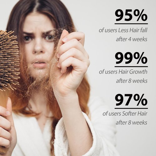 JISKG Ginger Plant Extract Anti-Hair Loss Hair Shampoo for Hair Growth, 2 Boxes (400g) , Oil Control Hair Care for Women and Men