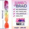 FAELBATY Synthetic Braiding Hair Extensions Rainbow Jumbo Braid for Twist Braiding Hair Extensions 24inch 3Pcs/Lot(Rainbow color)