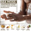 HERBOGANIC Sea Moss Handmade Soap - Natural, Moisturizing Soap Bar for Soft and Smooth Skin with a Spa-Like Experience Pack of 1 (100g)