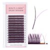 dark purple YY Eyelash Extension Lashes C Curl 0.07mm, 8-15mm Faux Mink Cluster Lash Extensions Soft Y Lashes Extensions Premade (8-15MM, 0.07-C,dark purple)