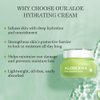 Aloderma Hydrating Face Cream for Dry Skin Made with 70% Organic Aloe Vera - Natural Hydration with Hyaluronic Acid & Arginine - Nourishing Aloe Vera Face Cream - Moisturizing Dry Skin Cream, 1.7oz