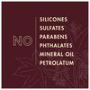 SheaMoisture Jamaican Black Castor Oil Treatment Masque For Dry Hair Jamaican Black Castor Oil Paraben Free Hair Mask 12 Oz