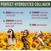 Perfect Supplements – Unflavored Hydrolyzed Collagen Powder for Men and Women - Collagen Peptides - Mix in Hot Cold Liquids, Grass Fed, Easy Absorption, 660 Grams