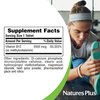 NaturesPlus Vitamin B12 (Methylcobalamin), Sustained Release - 2000 mcg, 60 Vegetarian Tablets - High Potency Red Blood Cell Support - Natural Energy Booster - Gluten-Free - 60 Servings