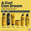 Matrix A Curl Can Dream Light-Weight Hair and Scalp Oil | Controls Frizz | For Curly & Coily Hair | Silicone Free | With Manuka Honey Extract | 4.4 Fl. Oz.