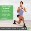 Gaiam Core Sliding Discs - Dual Sided Workout Sliders for Carpet & Hardwood Floor - Home Ab Pads Exercise Equipment Fitness Sliders for Women and Men, Grey/Black