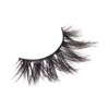 Broadway Lashes Strip False Eyelashes Multipack Fake Eyelashes Natural to Dramatic Look Lash Set 5 Pairs (06)