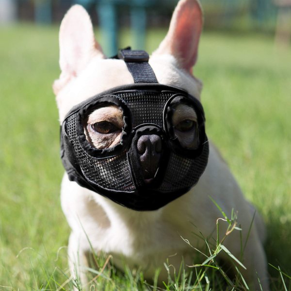 JYHY Short Snout Dog Muzzle- Adjustable Breathable Mesh Bulldog Muzzle for Biting Chewing Licking Grooming Dog Mask,Black M