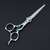 6 inch Professional Barber Razor Edge Hair Cutting Scissors/Shears -Adjustment Tension Screw - Hairdressing Cutting Scissor (C-6 inch-Silver)